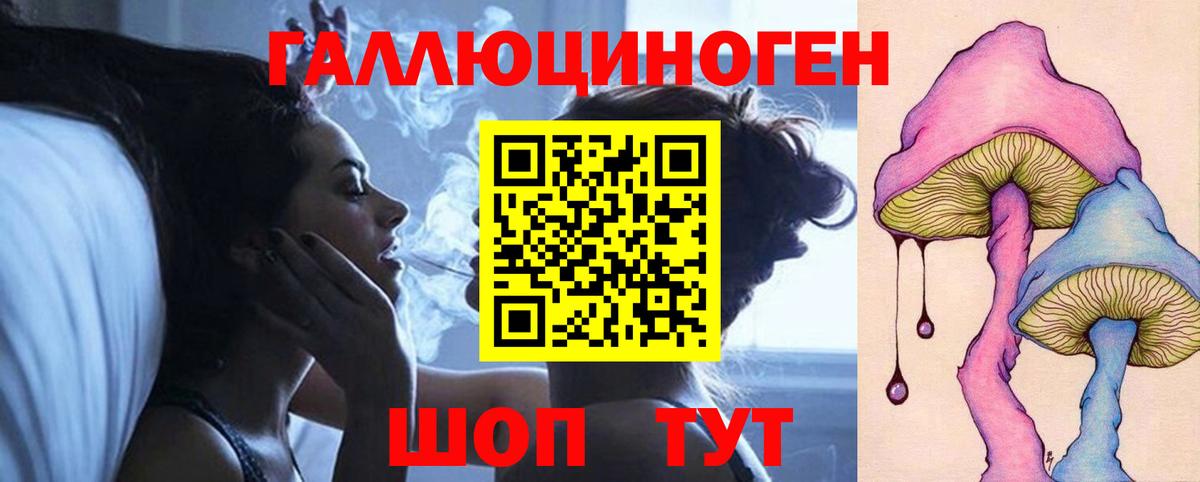 Новосибирск  Псилоцибиновые грибы MAGIC MUSHROOMS  Вход с VPN 